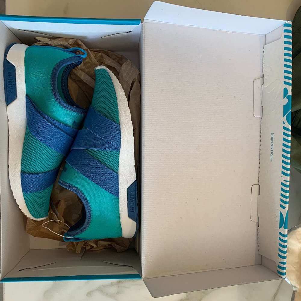 Native Phoenix Shoes (Glacier Green/Storm Blue)